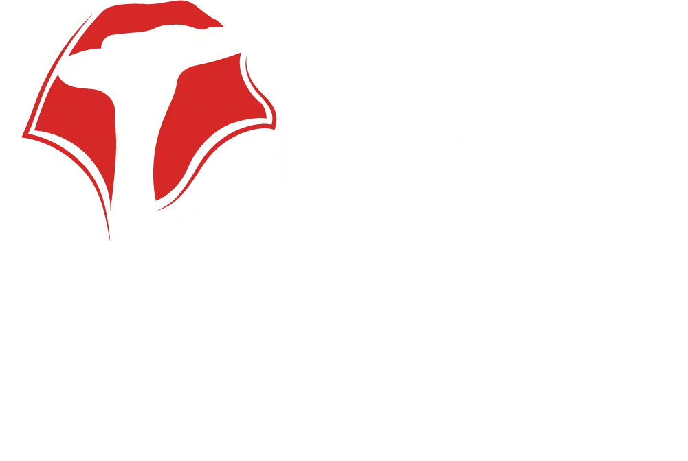 TLJ LOGO 2
